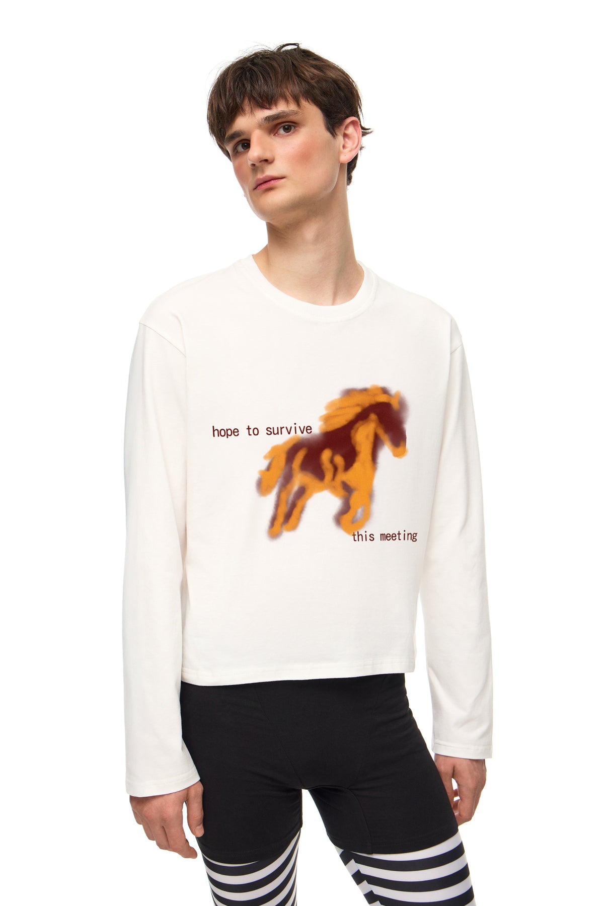 Long Sleeve "hope to survive this meeting"