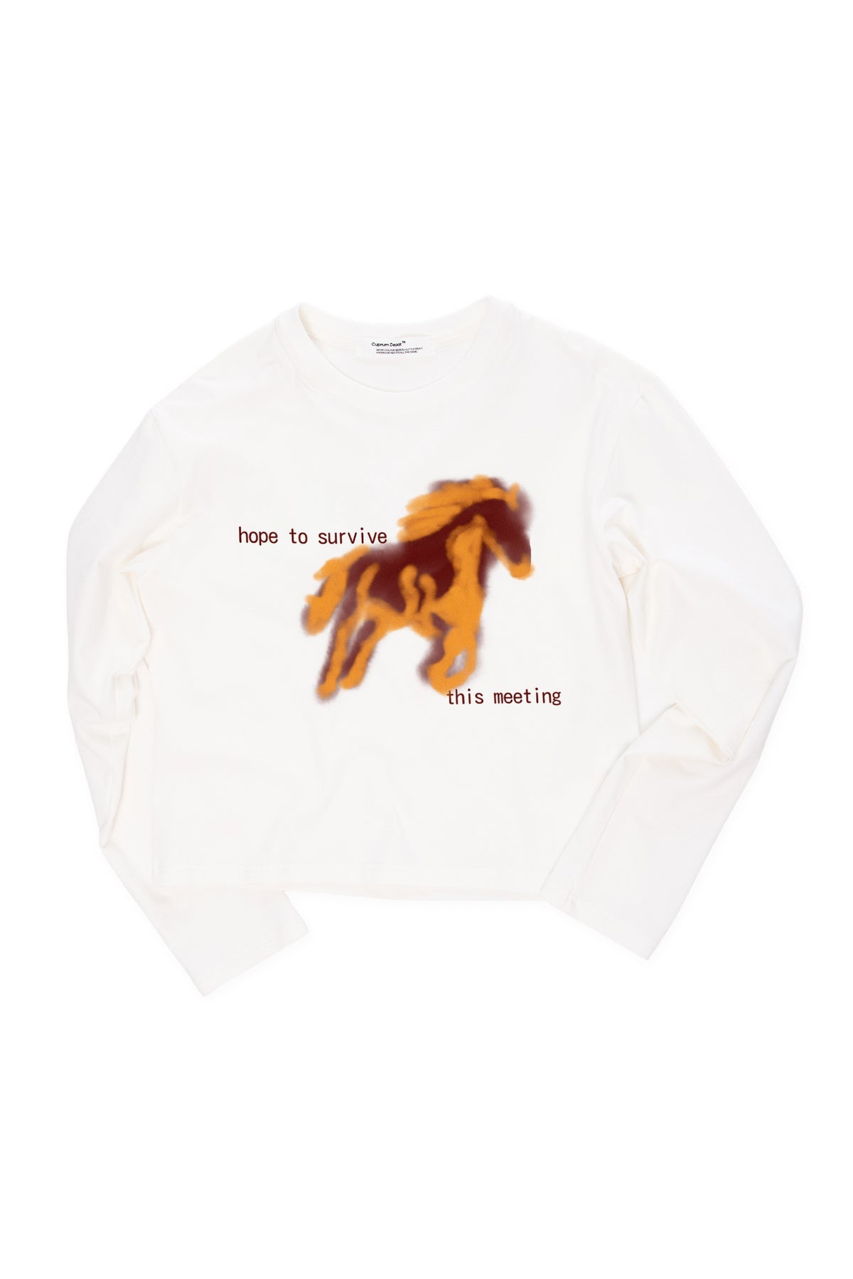 Long Sleeve "hope to survive this meeting"