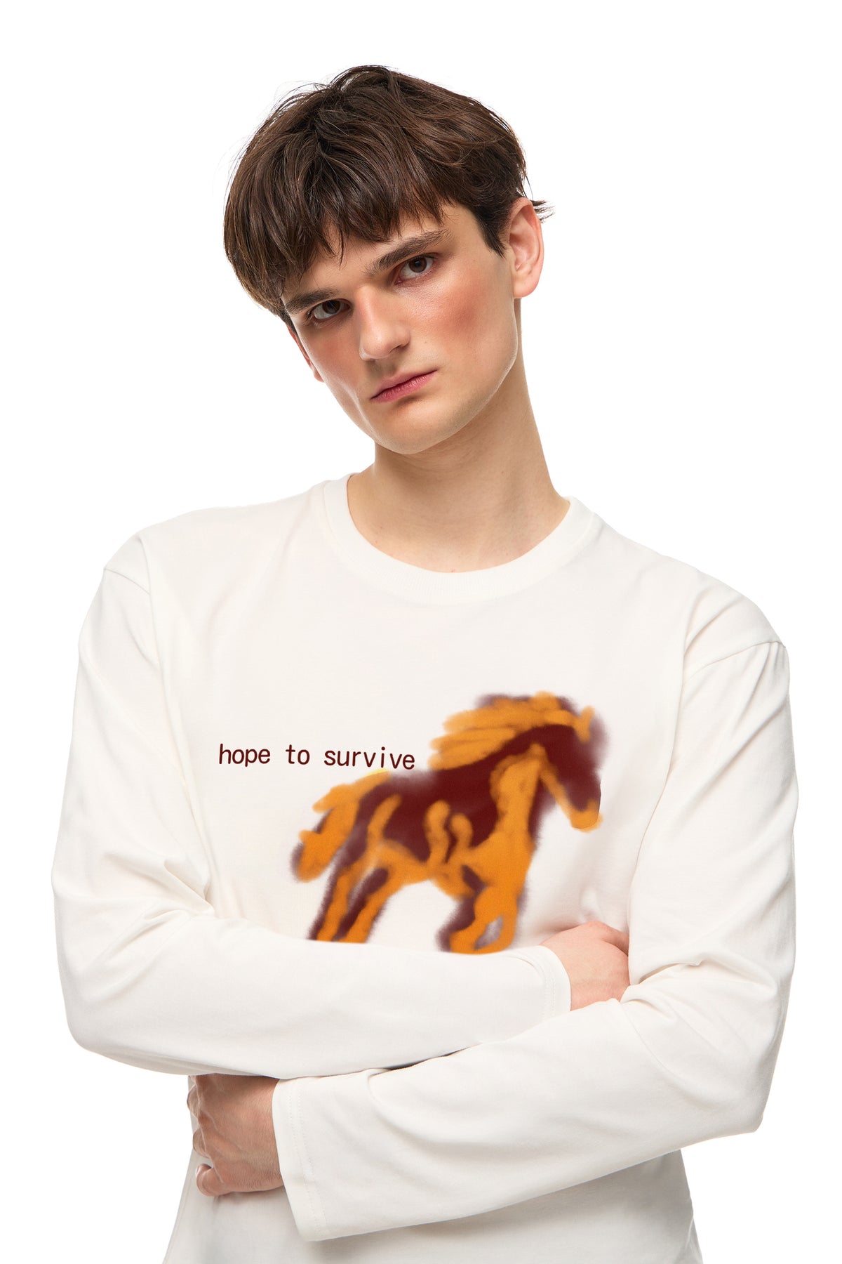 Long Sleeve "hope to survive this meeting"