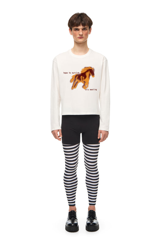 Long Sleeve "hope to survive this meeting"