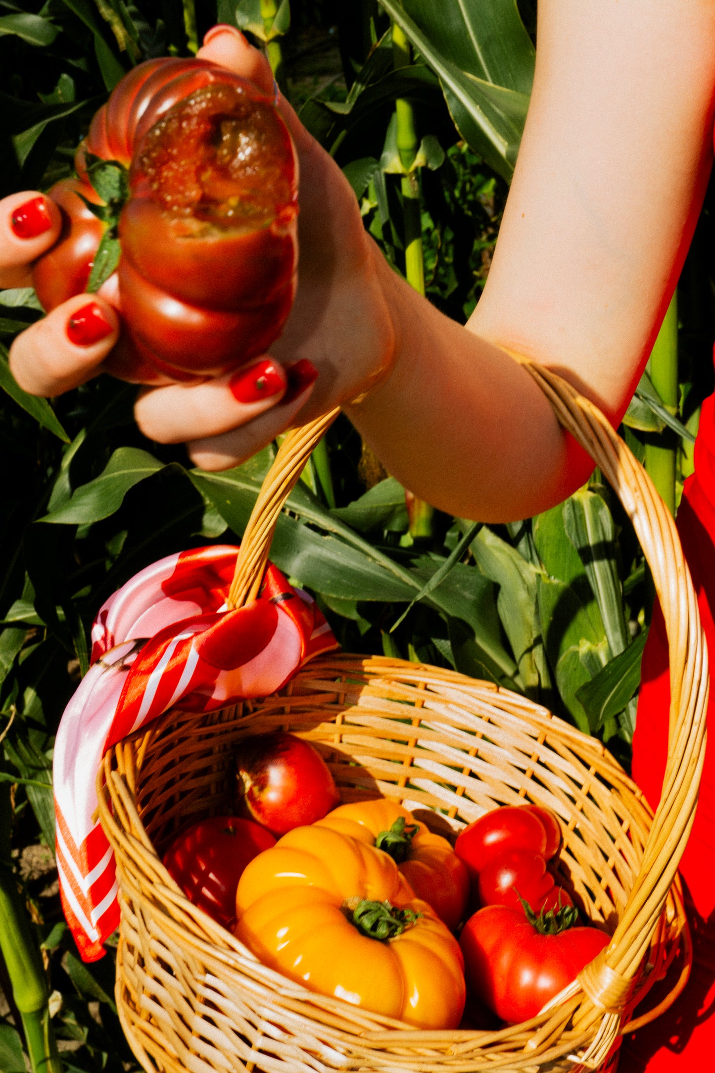 Хустина "Tomato Core"