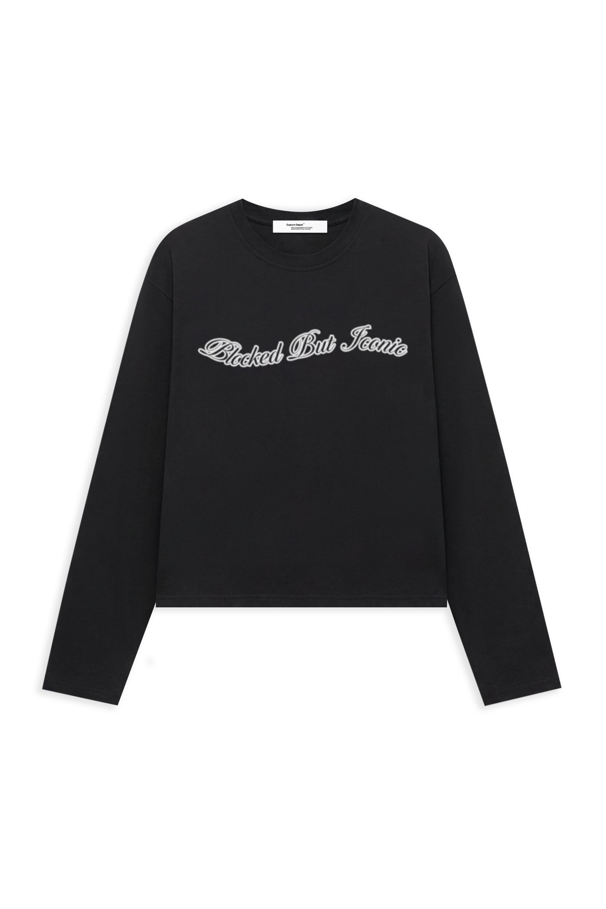 Long Sleeve "Blocked But Iconic"
